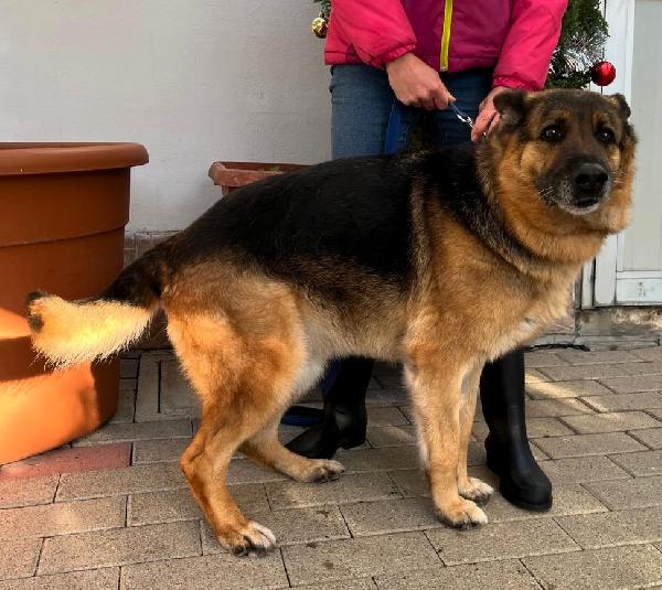 FEDERICA PASTORE TEDESCO Foto 3